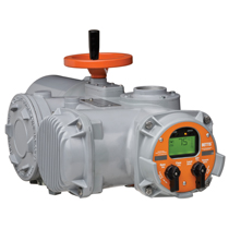 Bettis/EIM TEC2 with Model 500 Electric Actuator 